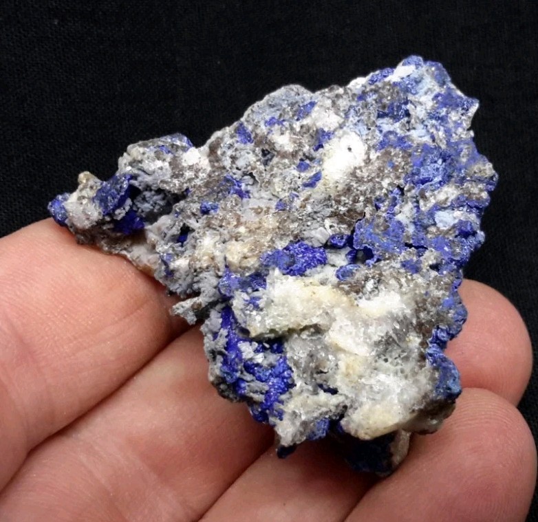 12 Piece AZURITE with QUARTZ and FLUORITE from Sierra Rica, Chihuahua, Mexico