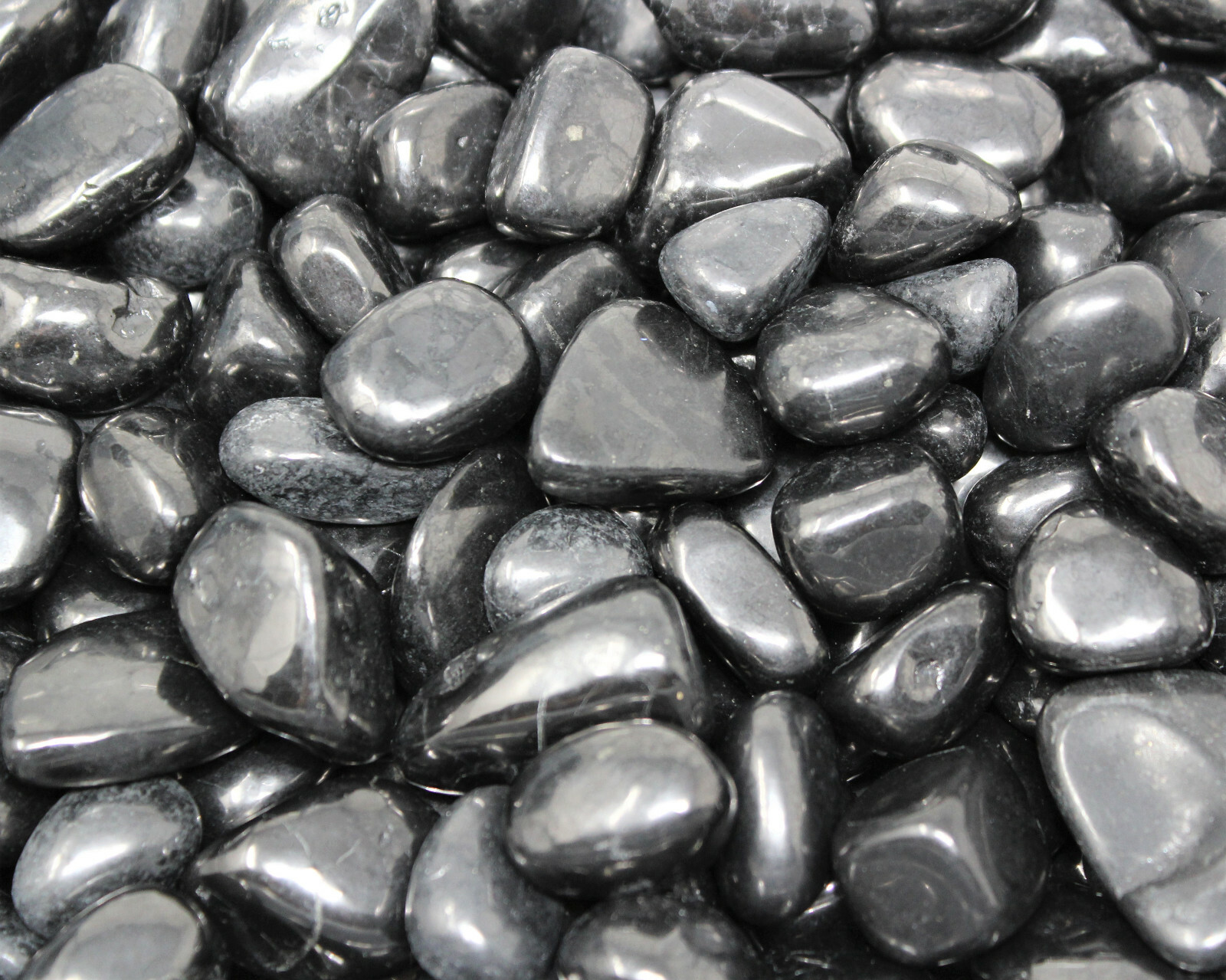 5 Shungite Specimen Tumbled Stones: Medium (Crystal Healing Gemstone Reiki)