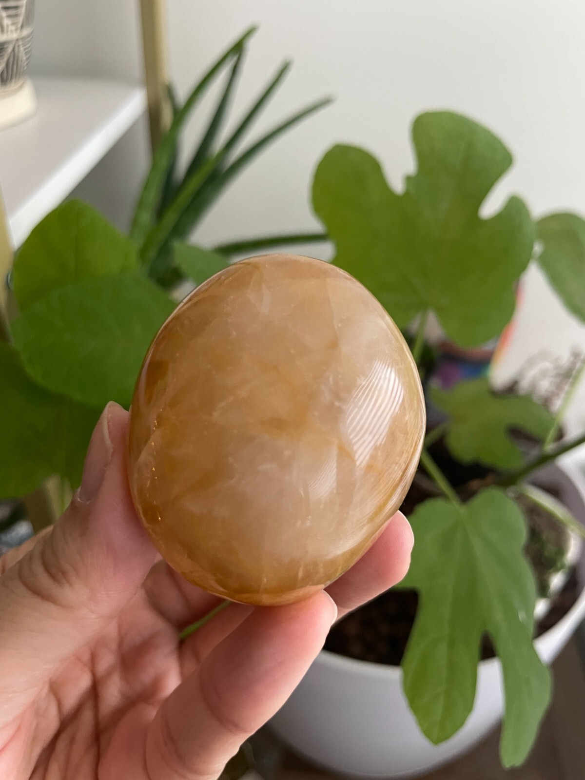 Polished Golden Healer Palm / Palmstone, Medium, approx. 2″H, 108 grams