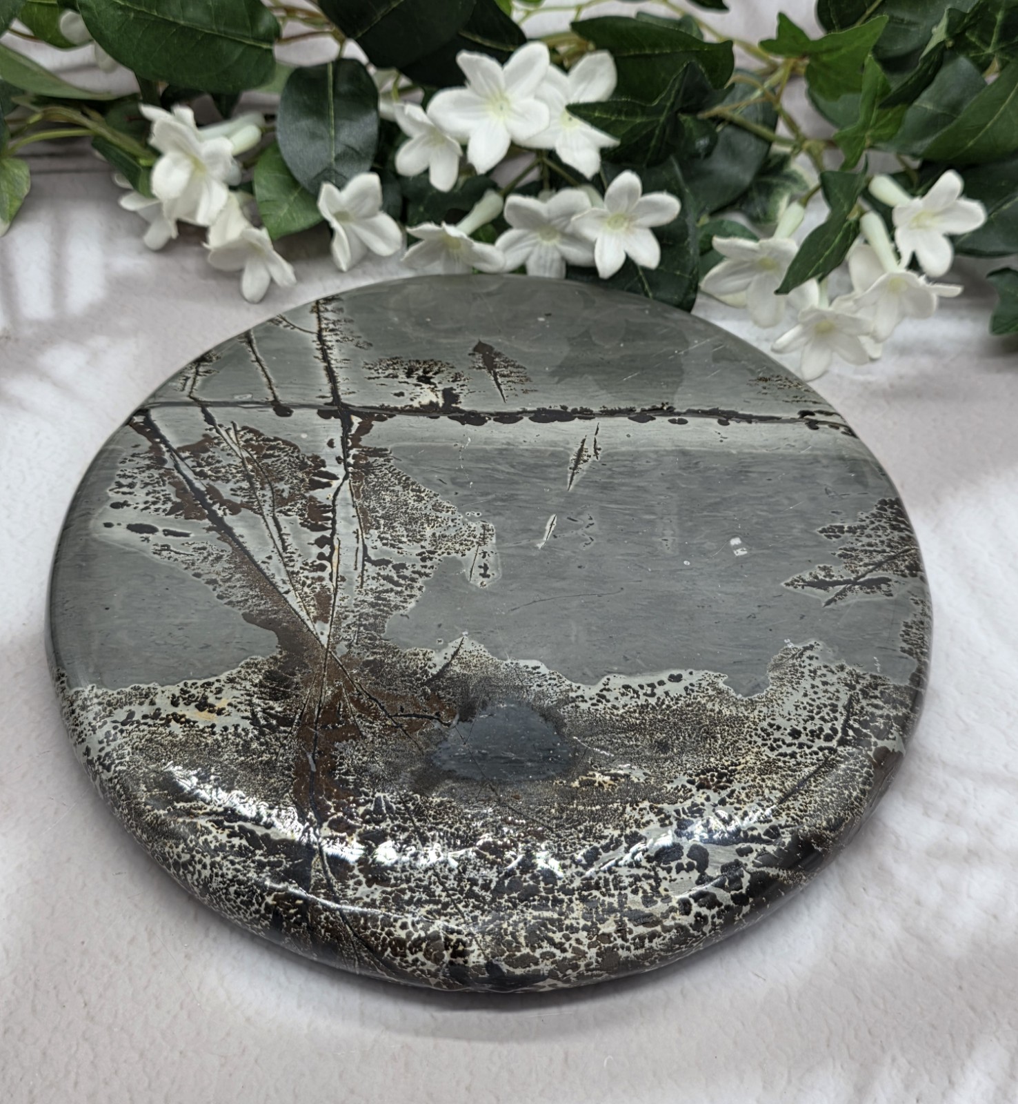 Large Picture Jasper Round Scenic Plaque 8” Polished Stone Disc With Wood Stand
