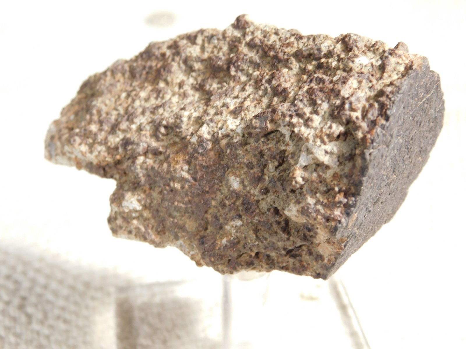 Classified NWA 8245 METEORITE Spots of Dark Fusion Crust! Erfoud, Morocco 136gr