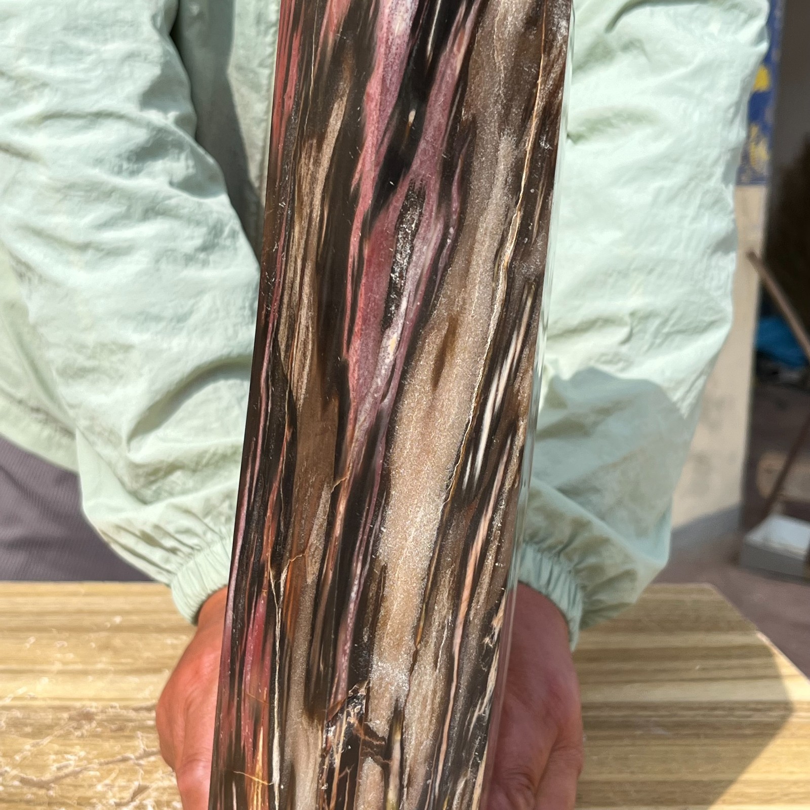 16.98LB Large Natural Polished Petrified Wood Obelisk Tower Crystal Reiki Decor