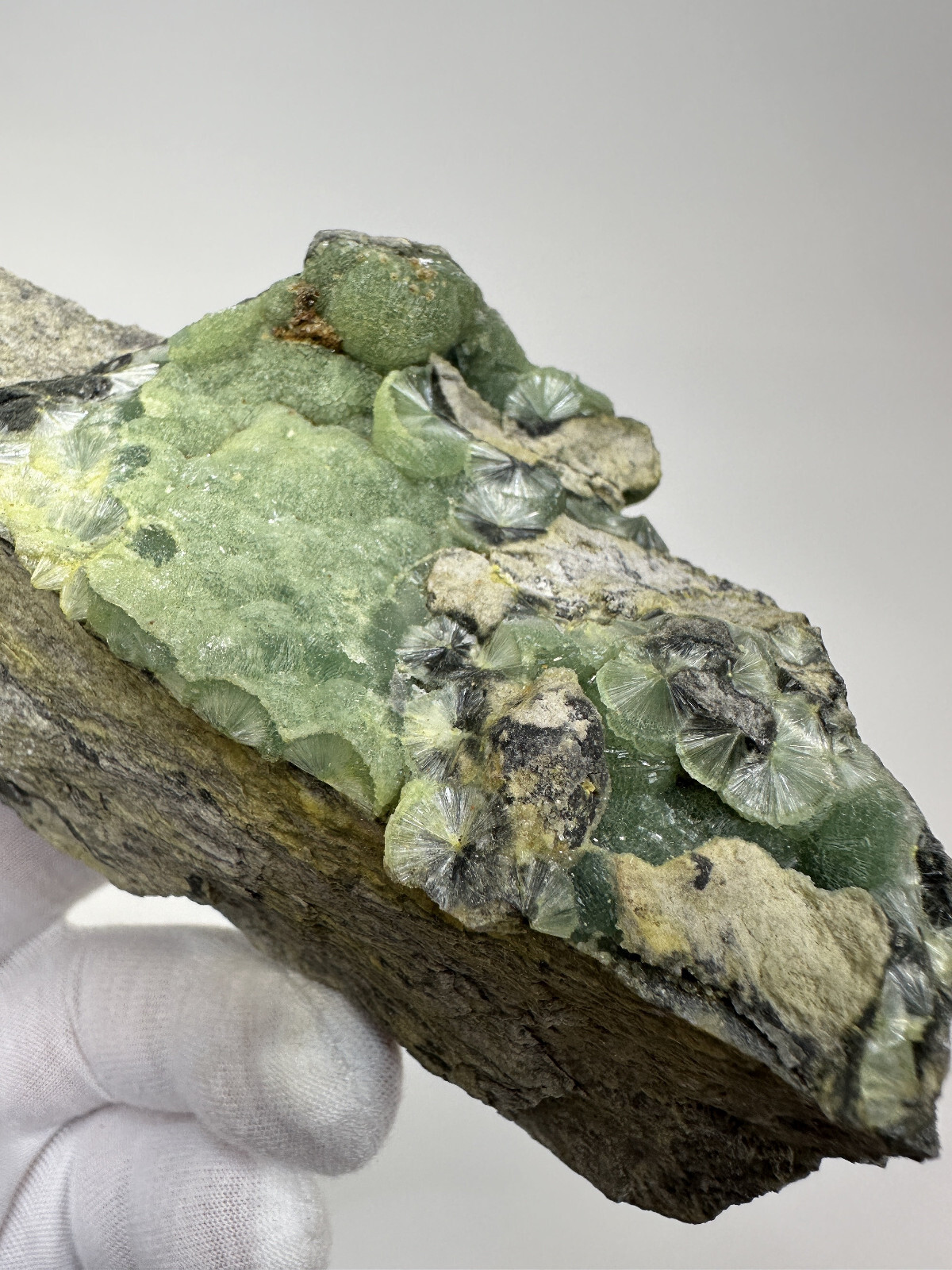 Beautiful RARE GREEN / BLACK Wavellite Specimen from Arkansas