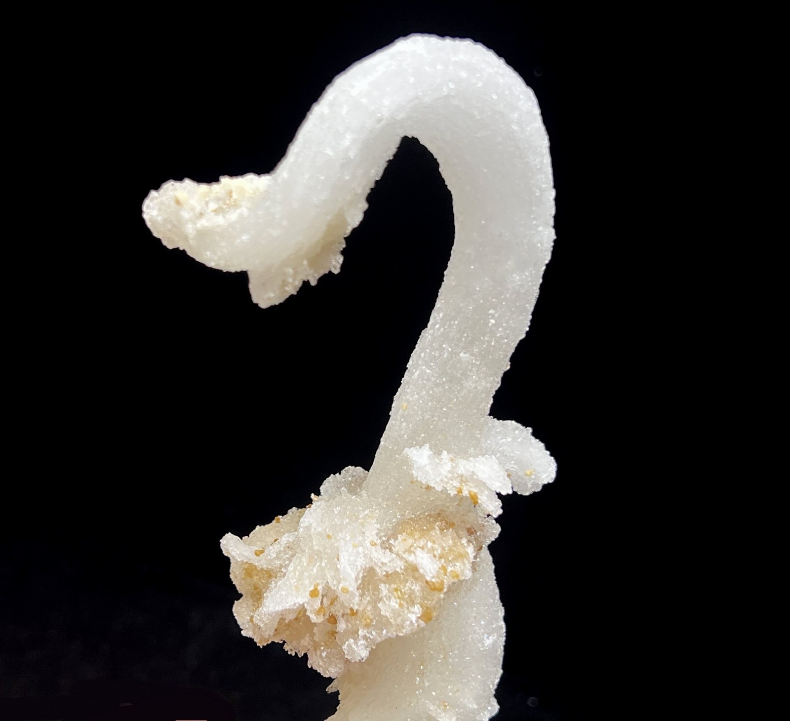 152mm Sparkling POWERFUL ‘Ram’s Horn’ shape Selenite (Gypsum), Natural Mineral