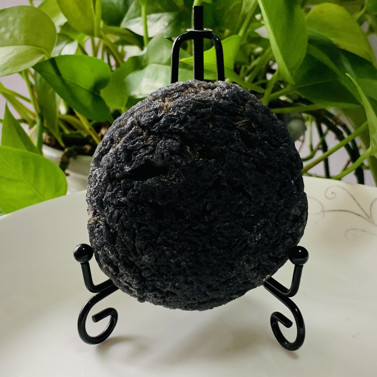 TOP 286g Natural Carbonaceous Chondrite Meteorite with Black reiki healing+stand