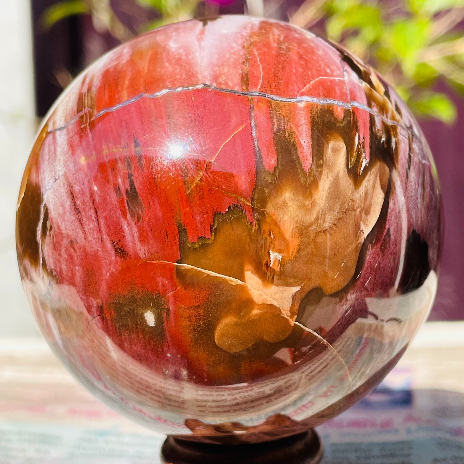 488g Natural Red Petrified Wood Crystal Ball Fossil Polished Sphere Specimen