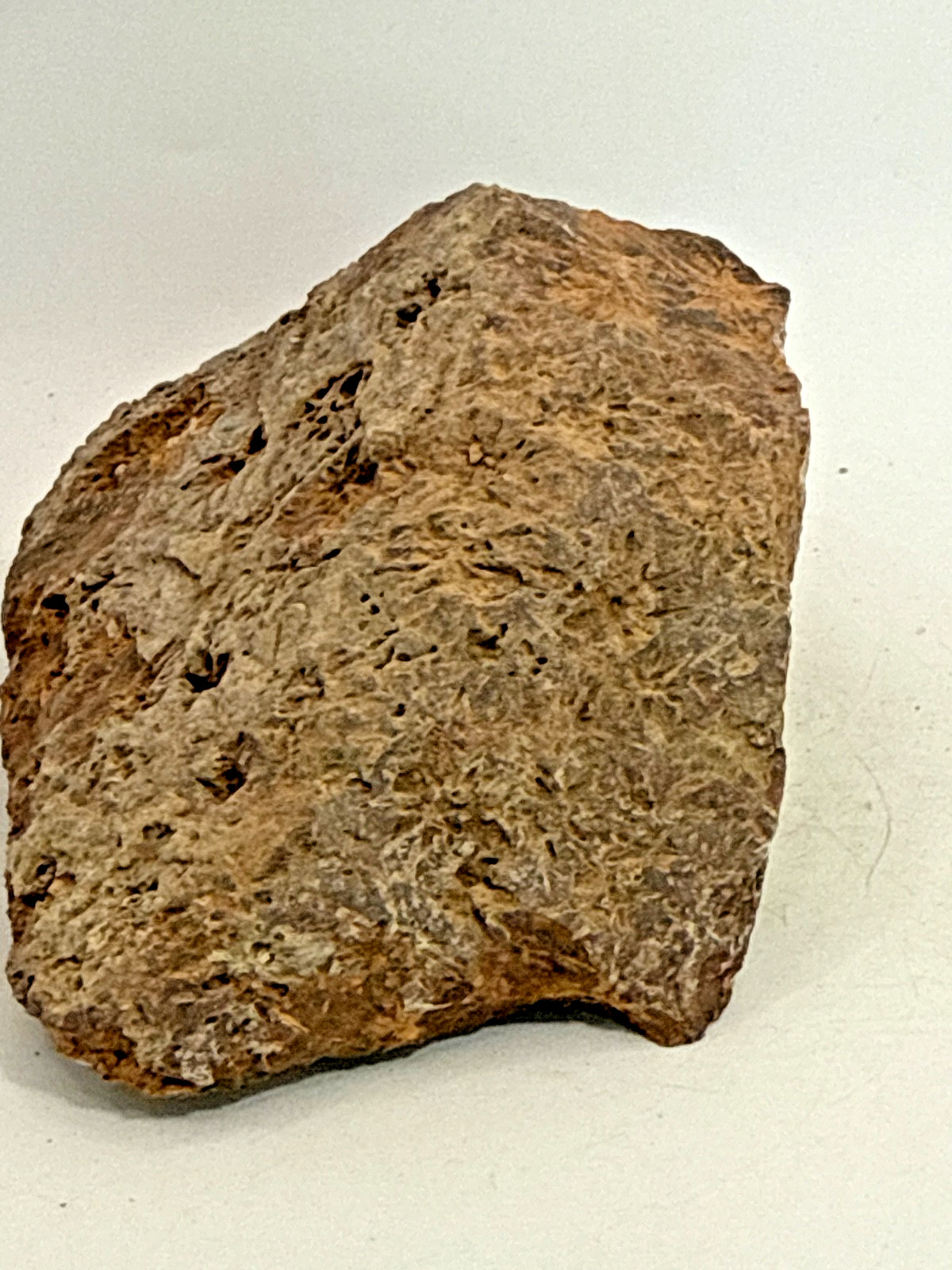 Beautiful Spider Jasper Chrysanthemum Specimen 529 Grams