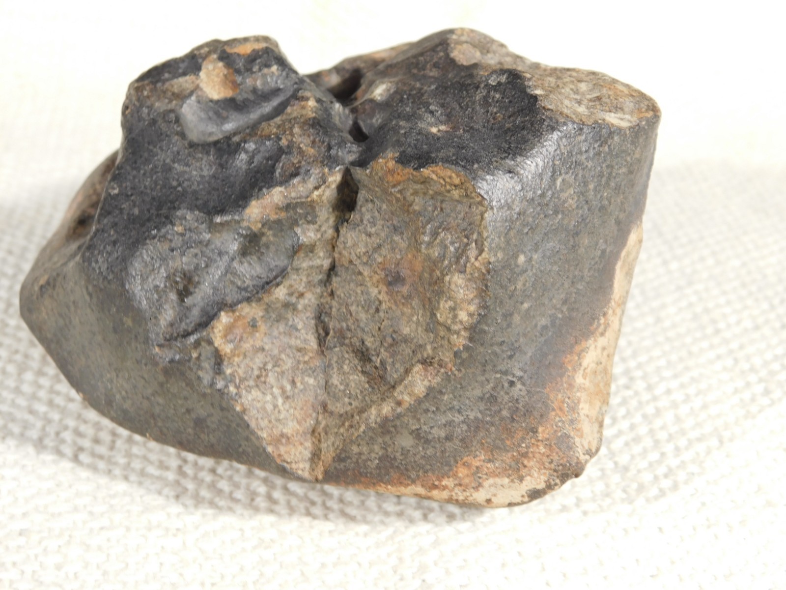 Big! N.W.A 869 Stony METEORITE with Dark Fusion Crust and DEEP REGMAGLYPTS 880gr