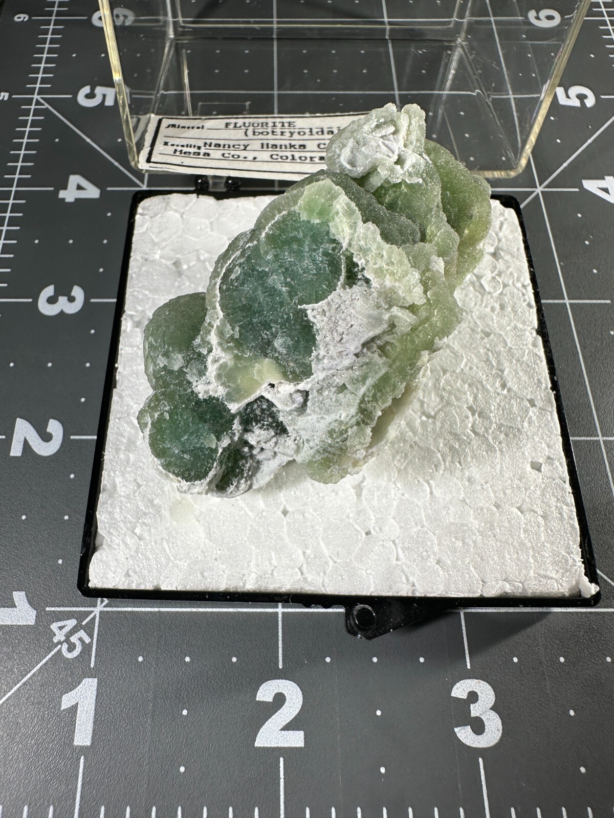 ➤ 2-1/2″ GREEN BOTRYOIDAL FLUORITE – Nancy Hanks Claim Mesa County CO VIDEO➤249