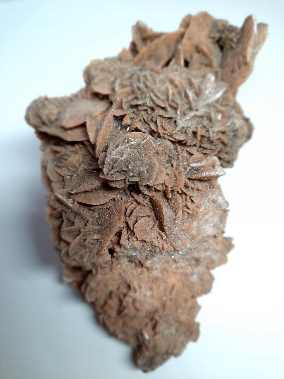 LARGE DESERT ROSE GYPSUM 6 1/4 x 3 1/2 x 2 1/4 Rock Mineral Crystal Stone