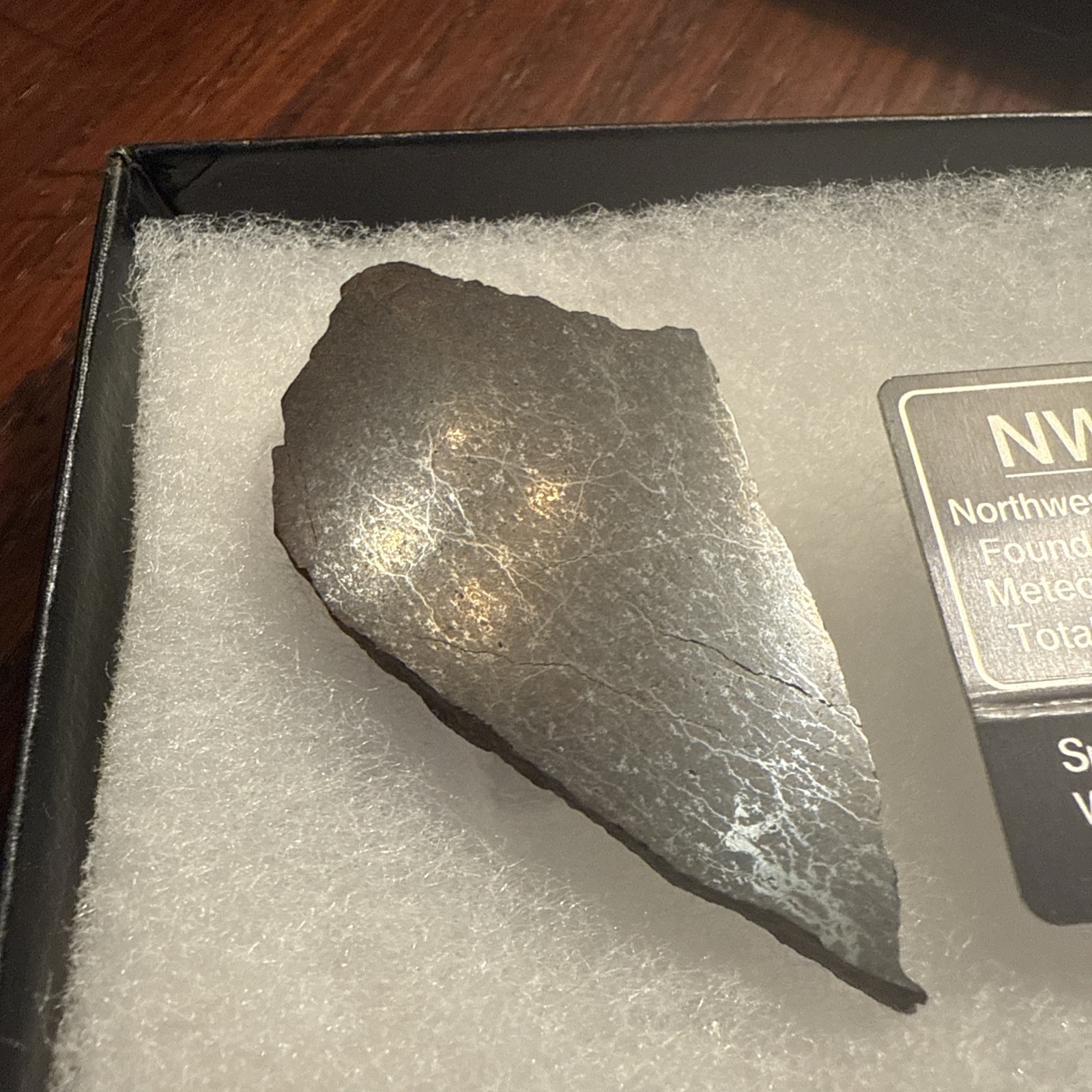 22.1 g Chondrite Meteorite Slice, Africa