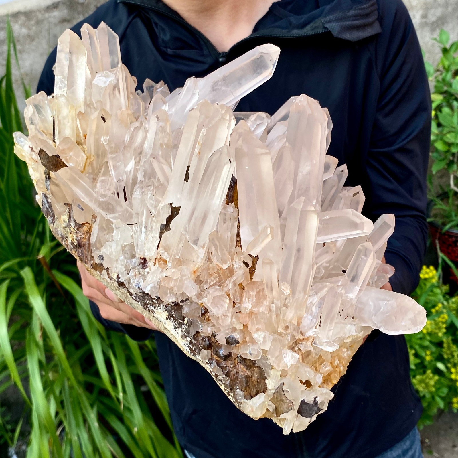 23.69LB ransparent, natural and beautiful white quartz crystal cluste
