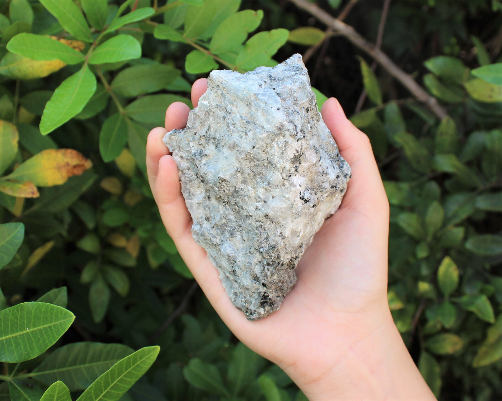 JUMBO Rainbow Moonstone Natural Raw Crystals – HUGE Rough Rainbow Moonstone