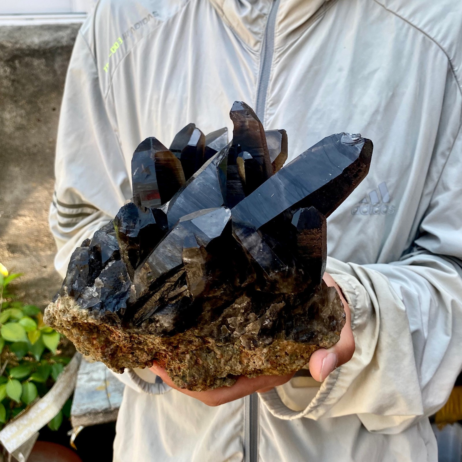 7.7LB Natural Tea black Crystal quartz Cluster Mineral Specimen Healing reiki