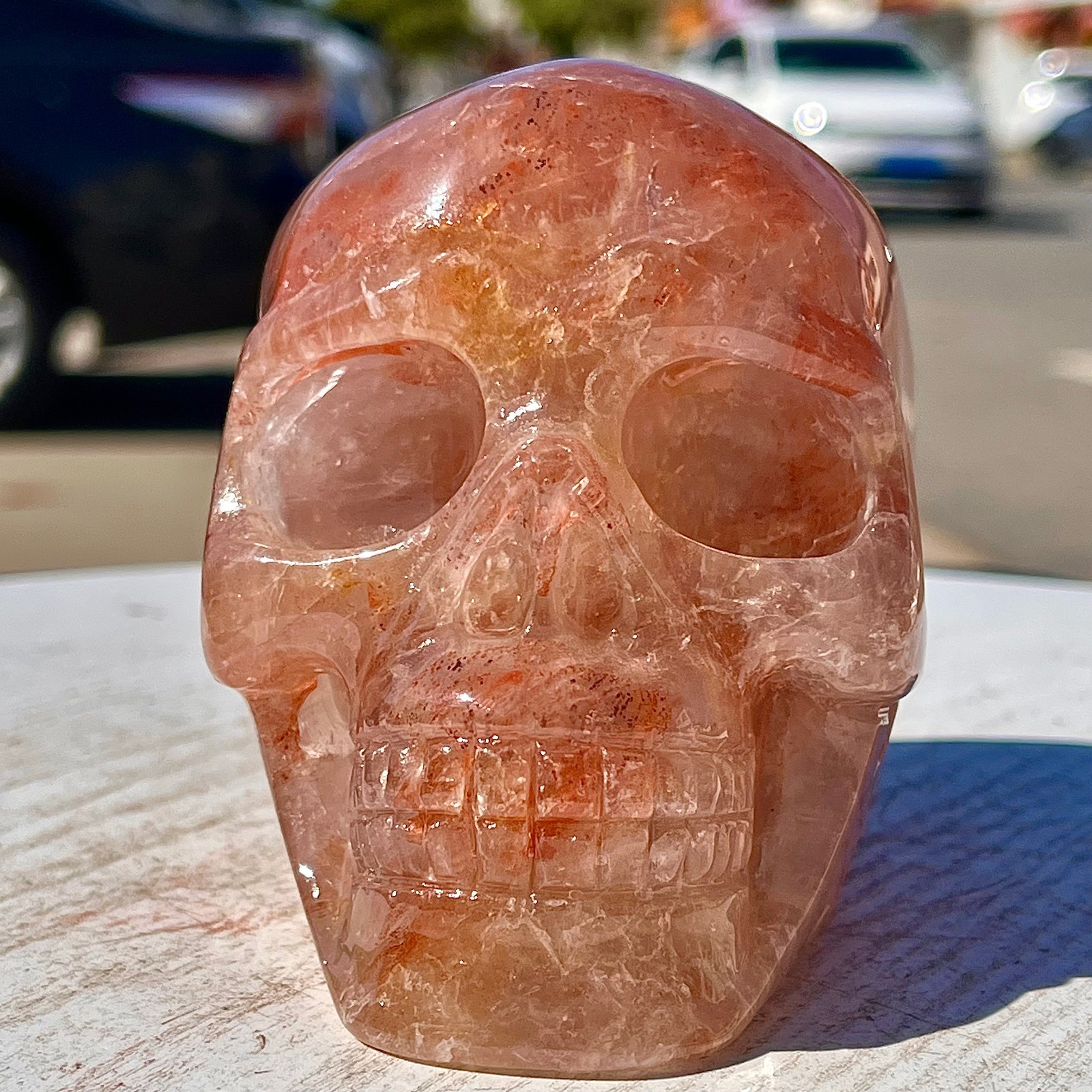 2.53LB Natural dreamy red gum flower skull hand carved skull healing