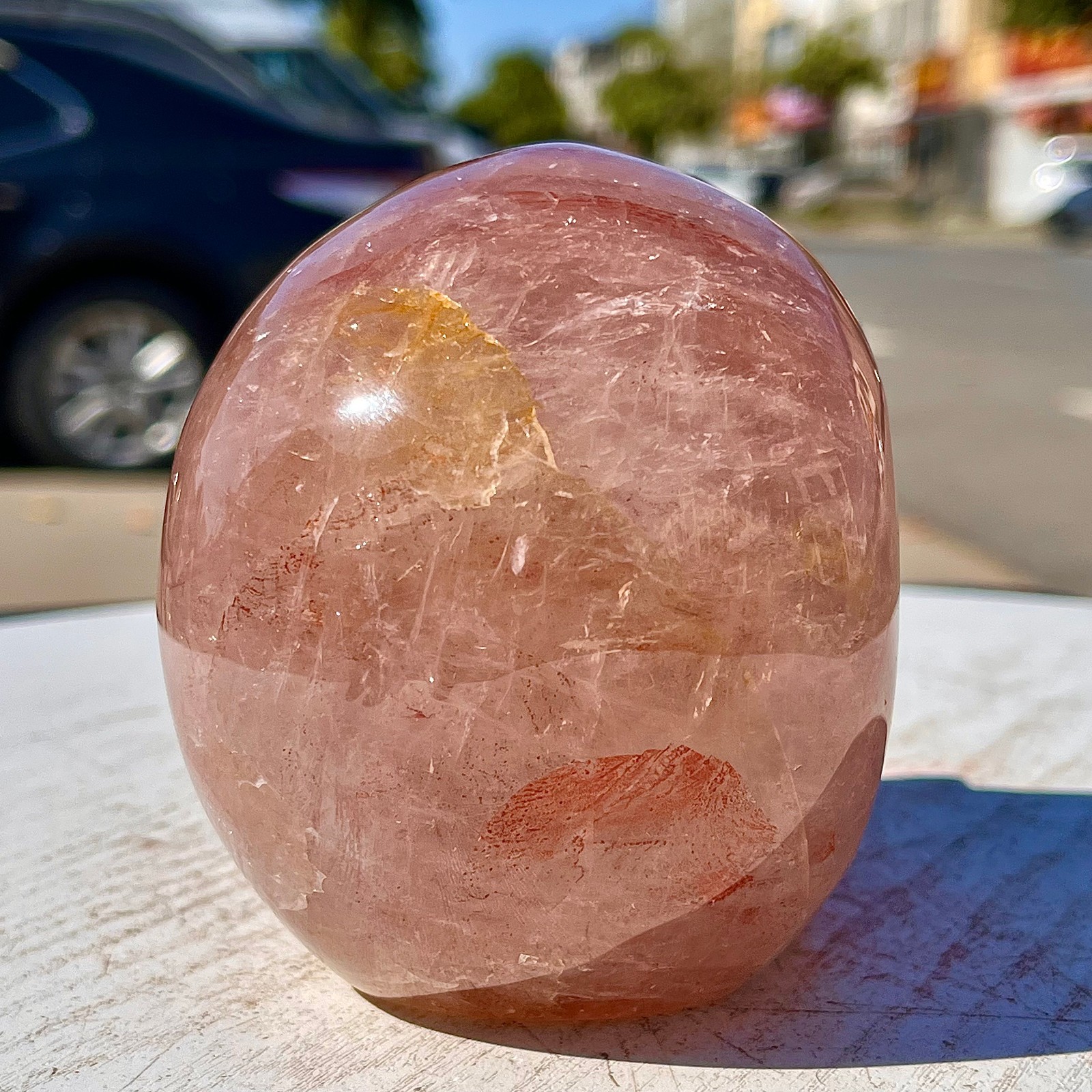 2.53LB Natural dreamy red gum flower skull hand carved skull healing