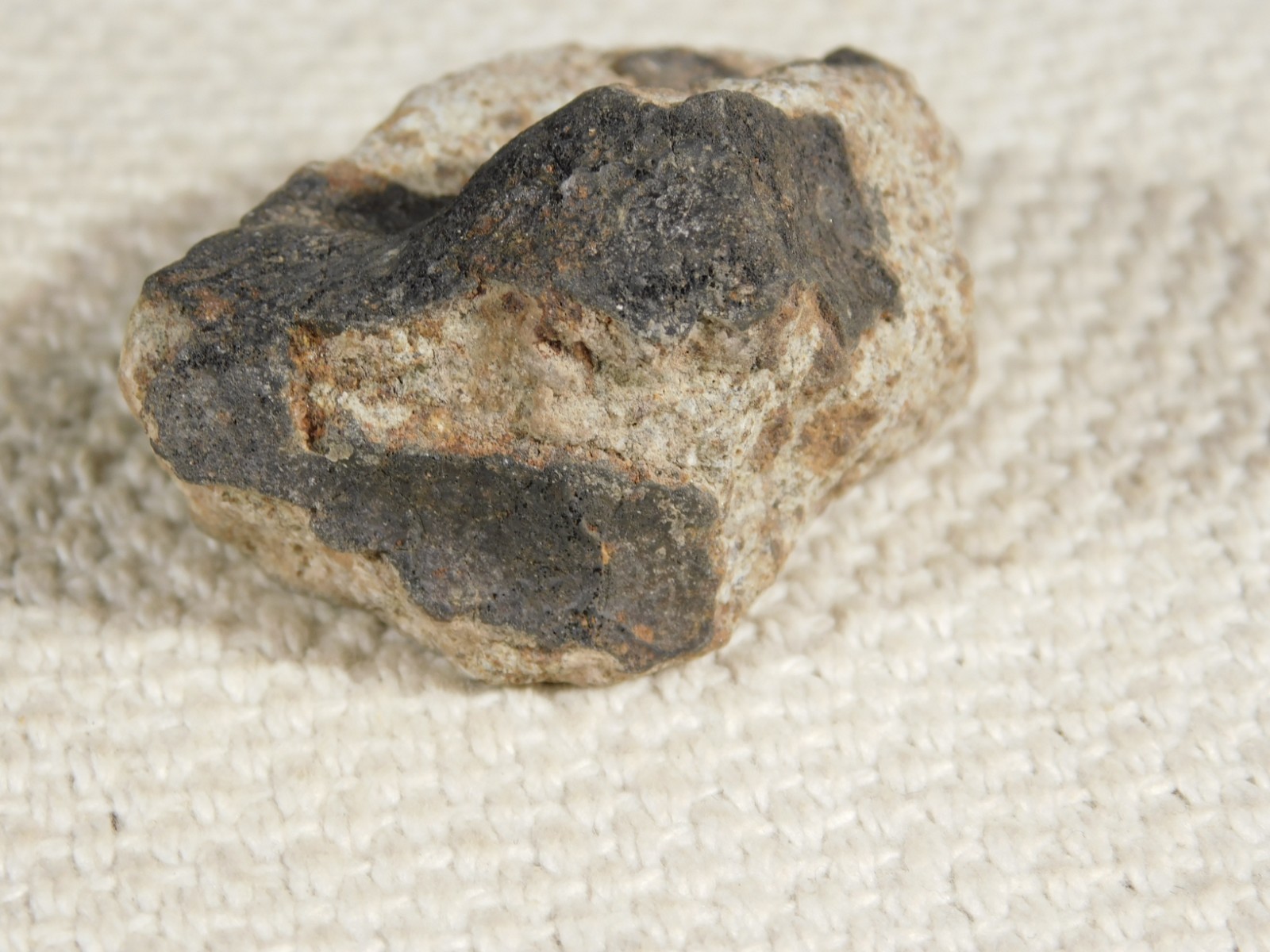 Classified NWA 8245 METEORITE 100% Natural FELL on Erfoud, Morocco 68.1gr