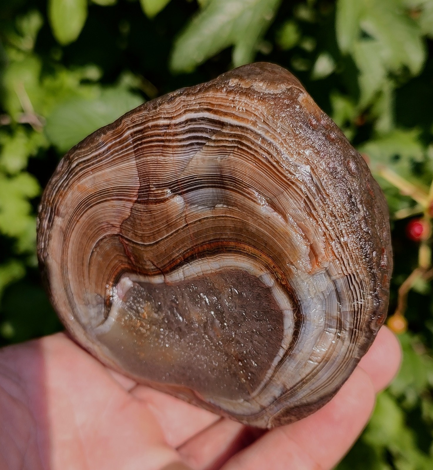 Lake Superior Agate✨, 1lb 8.7oz Outstanding Mixed Color Lake Superior Gem