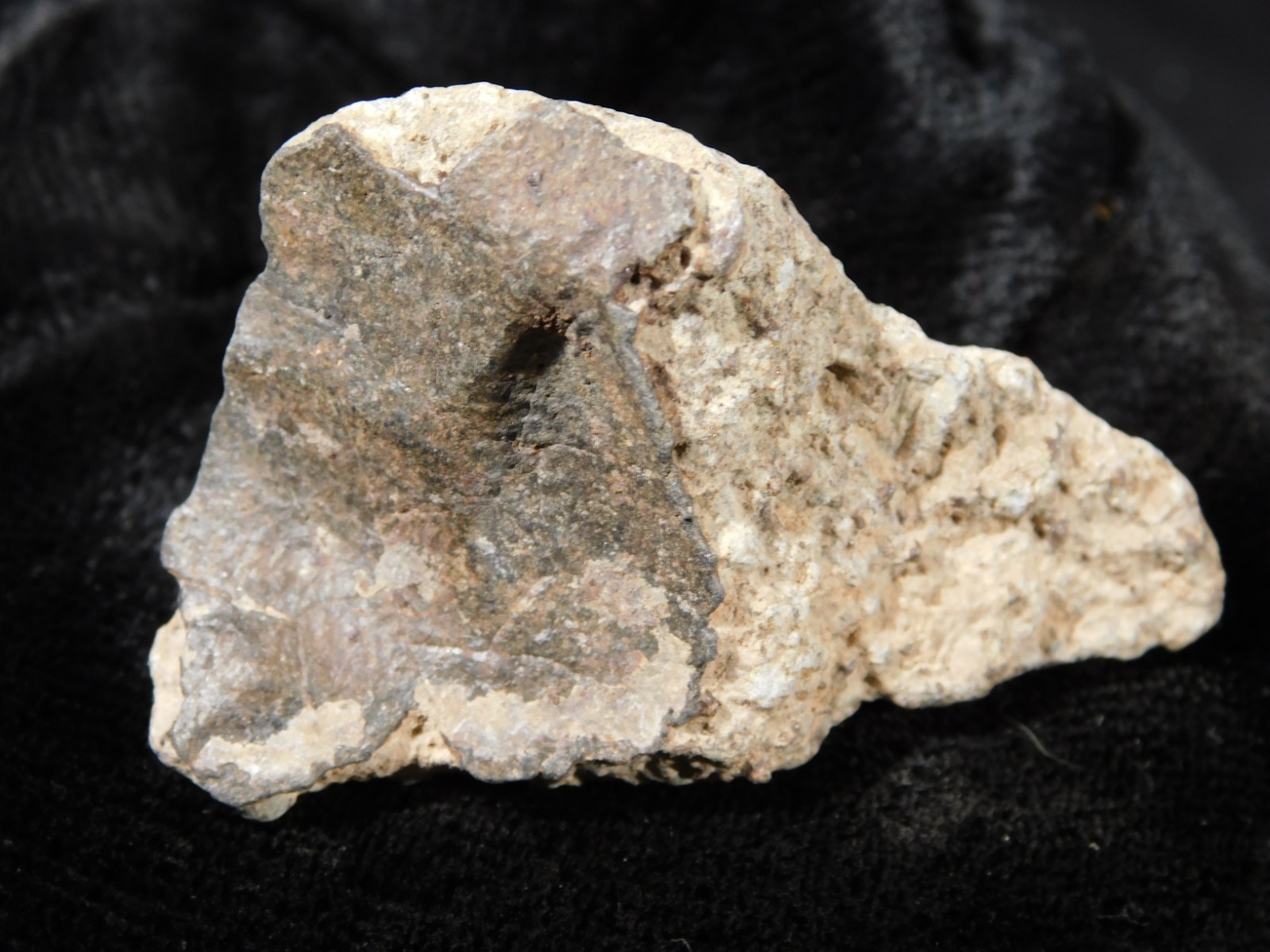 Classified NWA 8245 METEORITE Spots of Dark Fusion Crust! Erfoud, Morocco 55.4gr