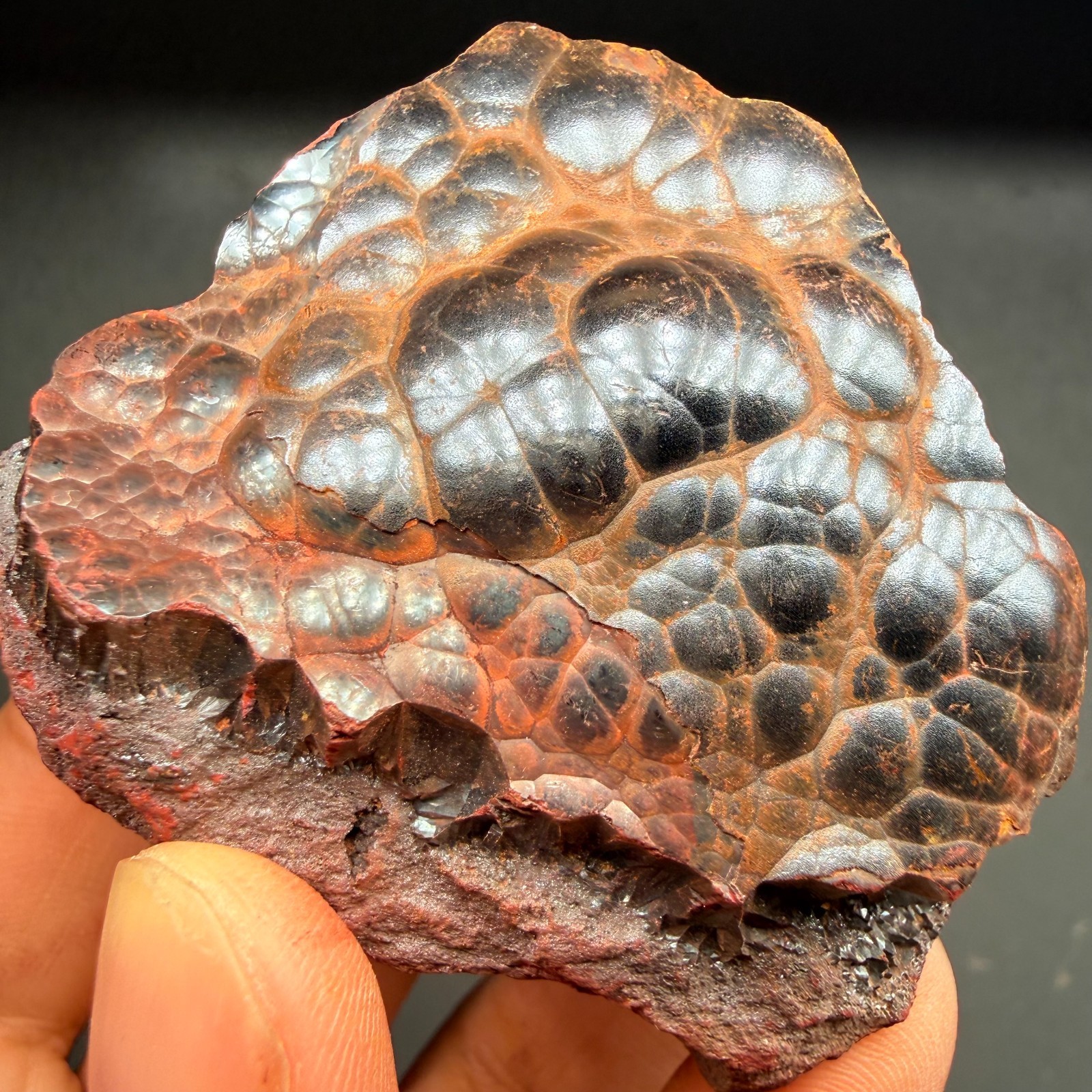 Botryoidal Hematite Specimen from Morocco 185g – Natural Iron Rose Formation