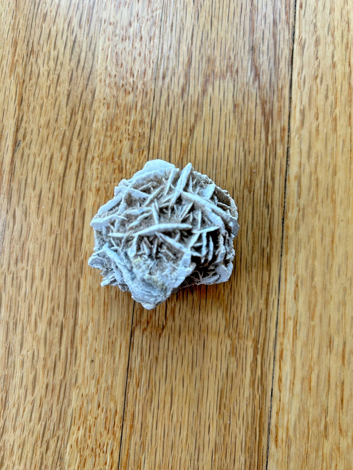 Large Desert Rose Raw Selenite Gypsum Crystal Specimen 93g 2.25 inches