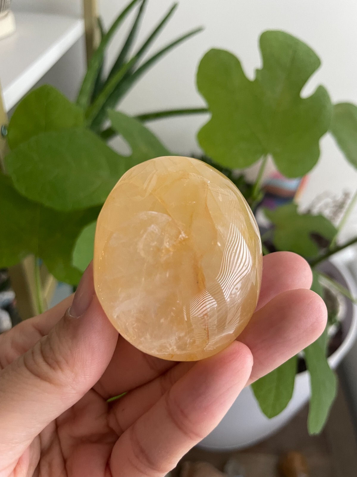 Polished Golden Healer Palm / Palmstone, Medium, approx. 2″H, 70 grams