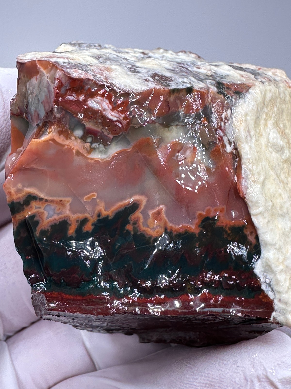 PREMIUM SPECIMEN__RARE Idaho Sunset Jasper / Agate Rough – Lemhi County, Idaho