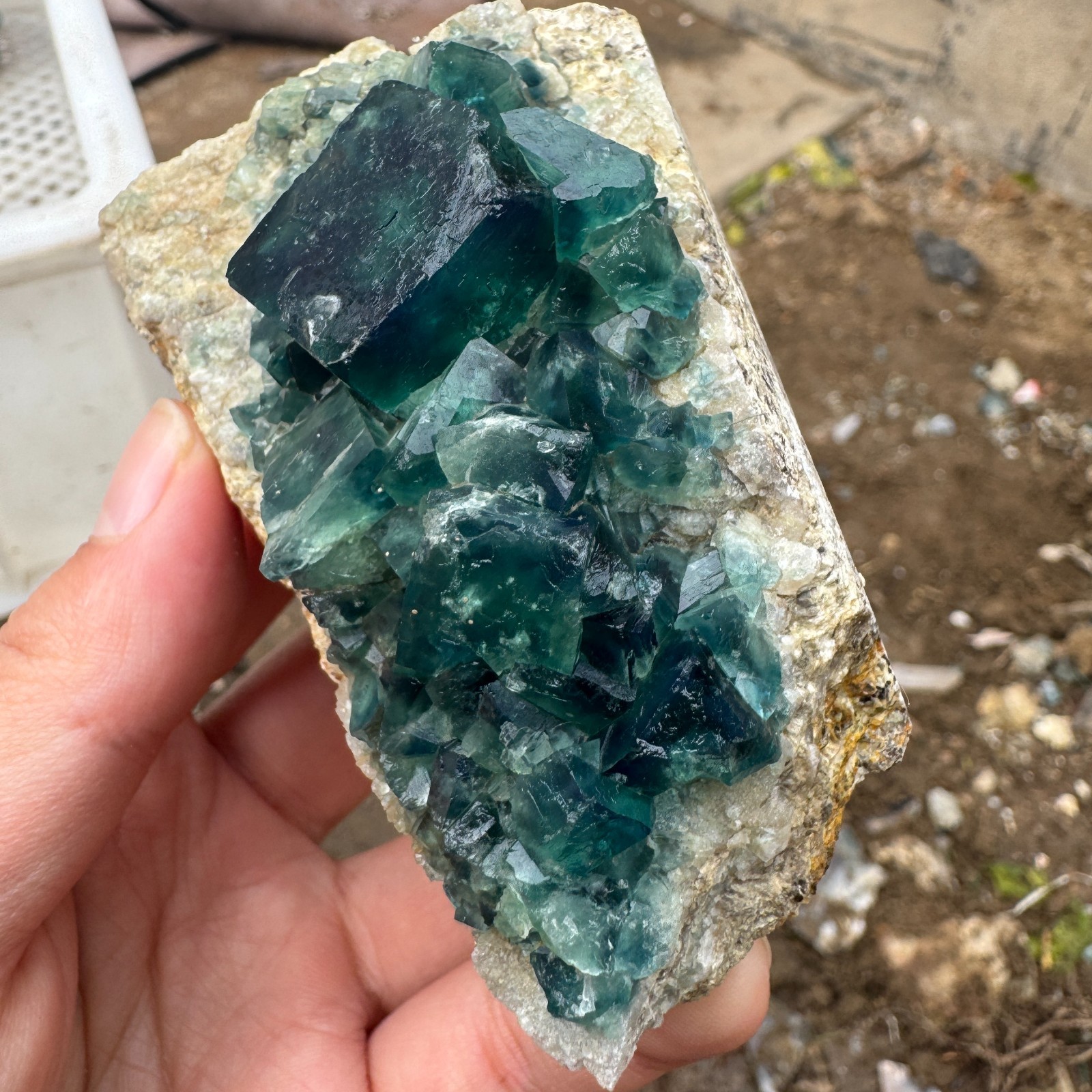 200G Natural cubic green fluorite crystal cluster rough mineral specimen Healing