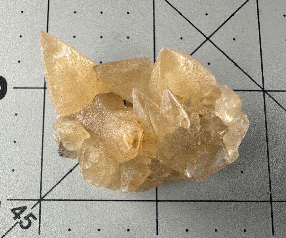 ➤ 1-1/2″ CALCITE CRYSTAL CLUSTER SPECIMEN – Pugh Quarry Ohio VIDEO➤893