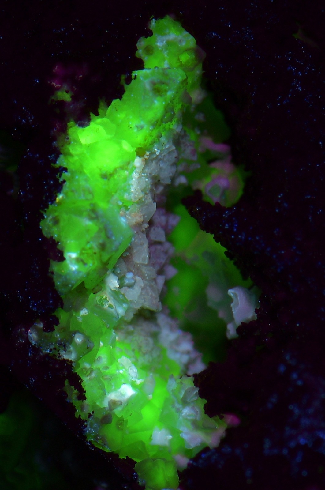 Fluorescent Adamite, Smithsonite on Limonite. Ojuela Mine, Mexico. 163 grams.