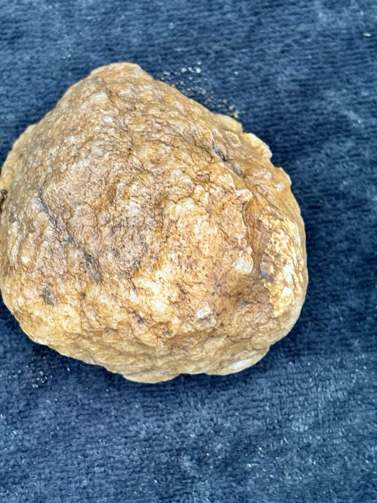 Lot of 4 MEDIUM Unopened Geodes | Jackson Co Indiana Glacial Boundary