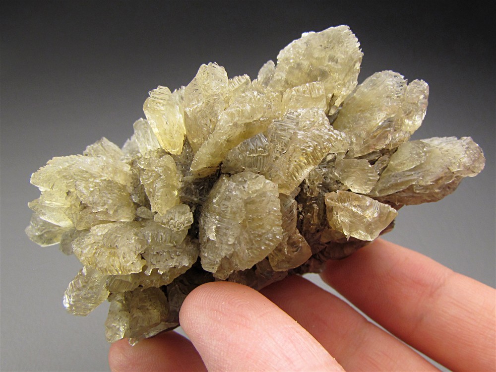 Selenite, Vienna, Austria