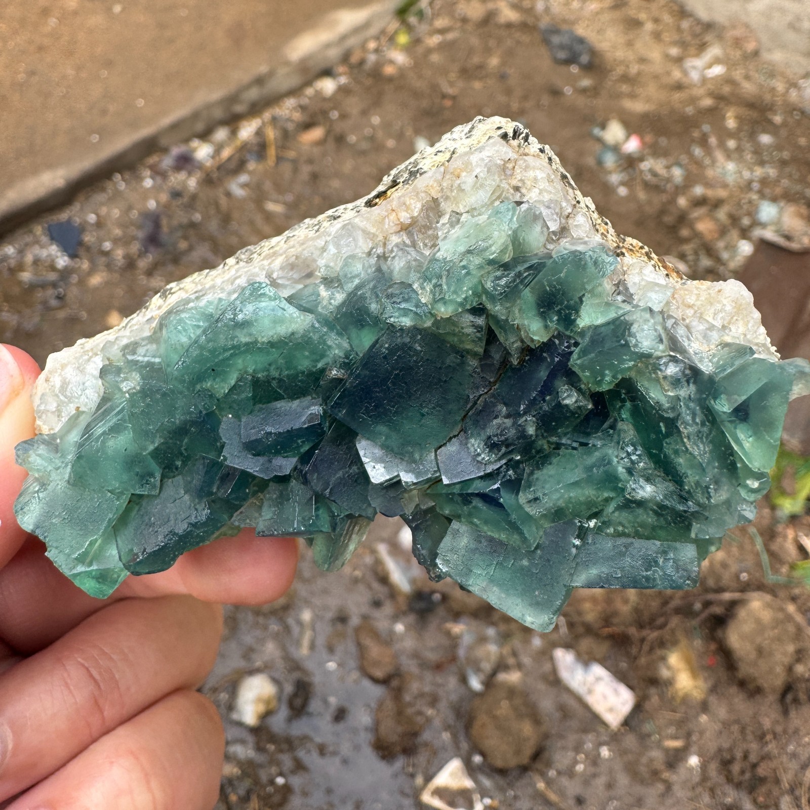 155G Natural cubic green fluorite crystal cluster rough mineral specimen Healing