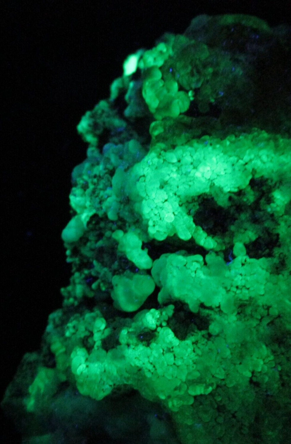 Incredulous Monster Size Fluorescent Hyalite Opal Zacatecas, Mexico Purity Hope