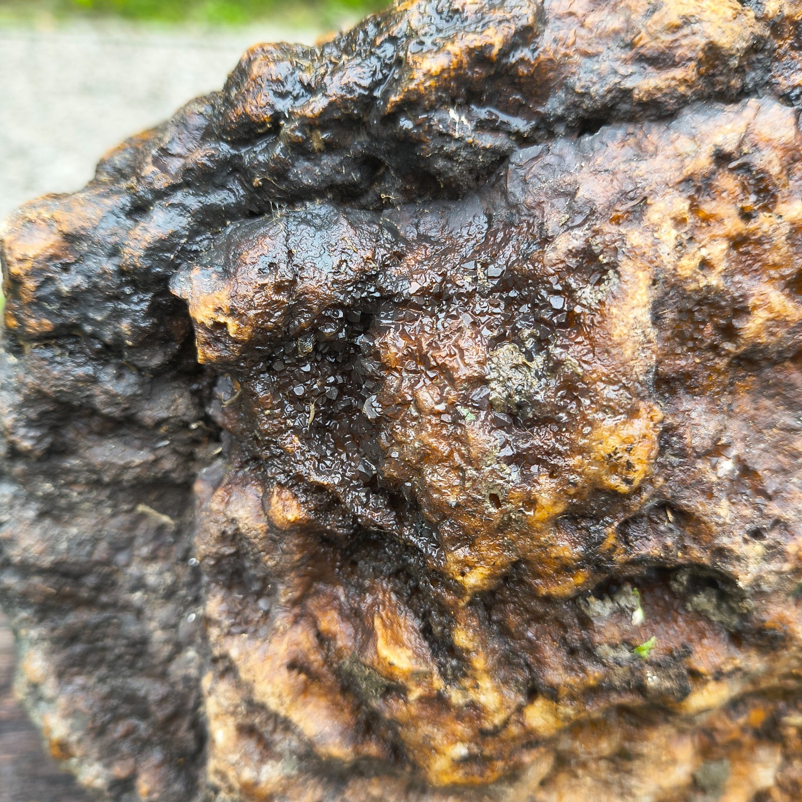 Large Kentucky Geode Natural Unopened Crystal Geode Collector Specimen