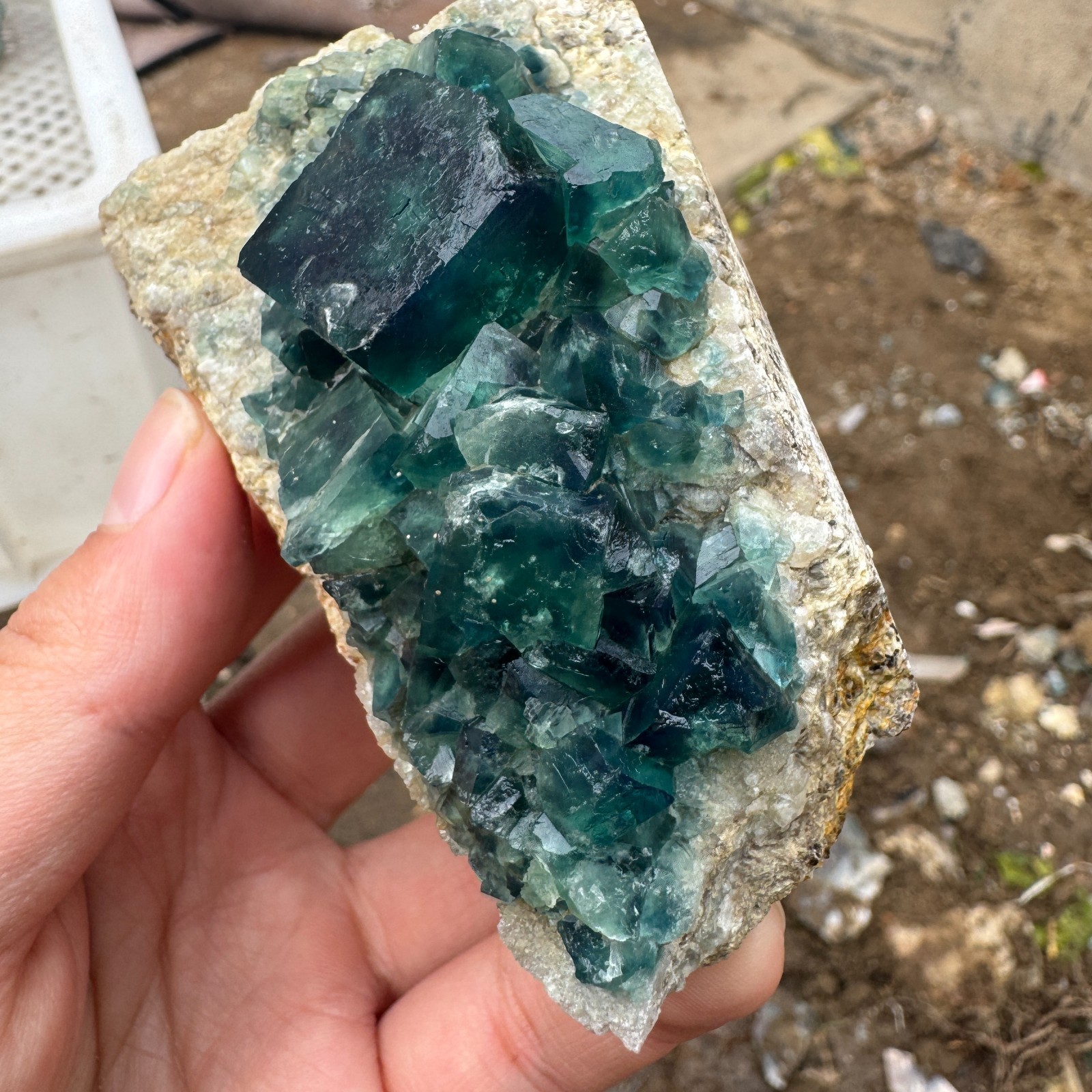 200G Natural cubic green fluorite crystal cluster rough mineral specimen Healing