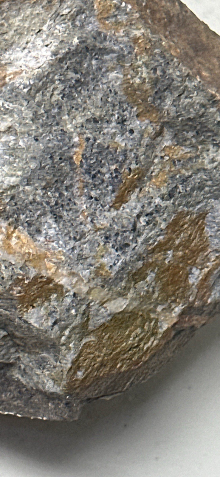 Plumas County Northern Sierra Gold Ore, Priced Right & Visible Gold + Minerals