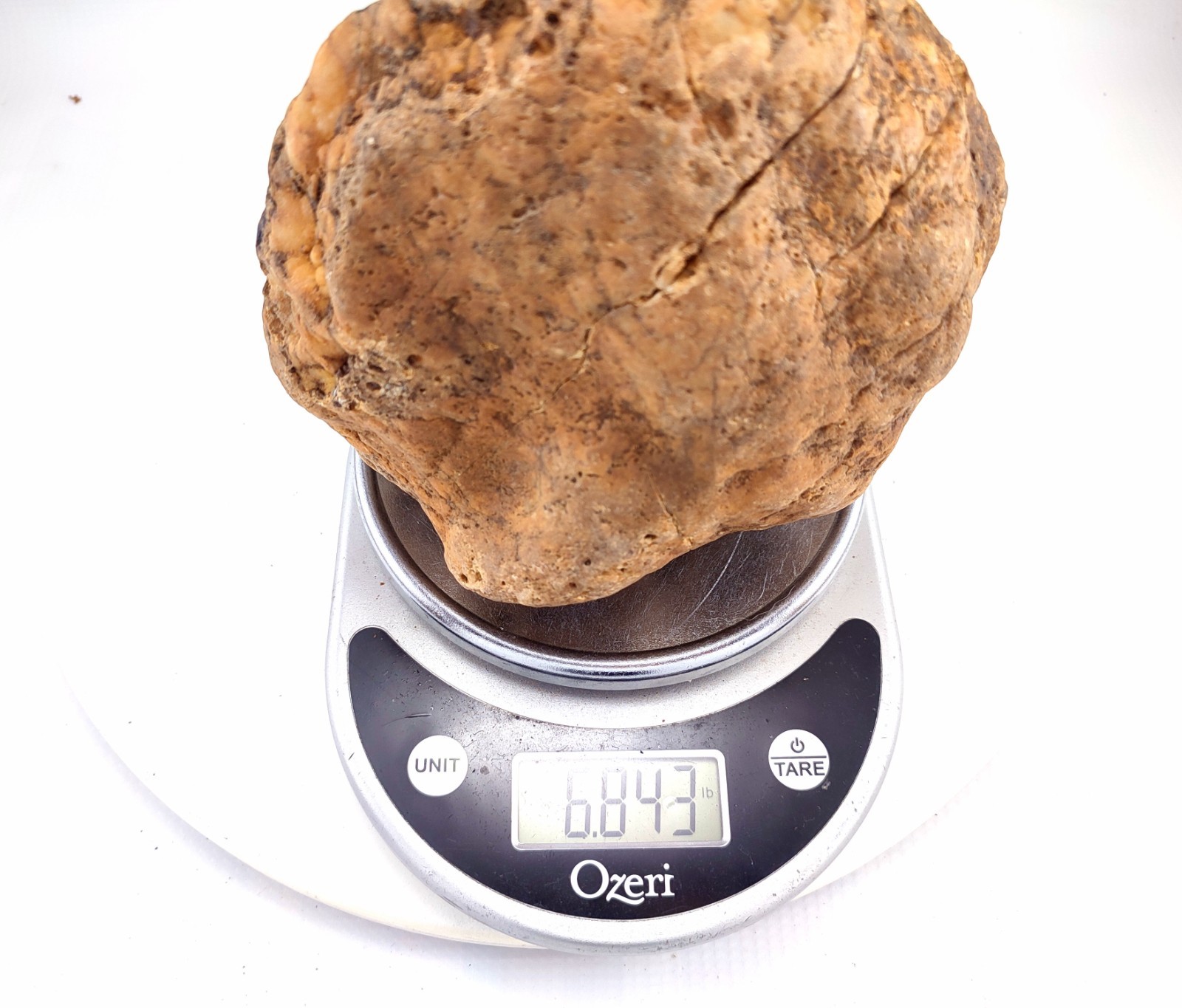 7″ Unopened Kentucky Geode Nodule Natural Quartz Crystal 6.8 LB Dense Specimen