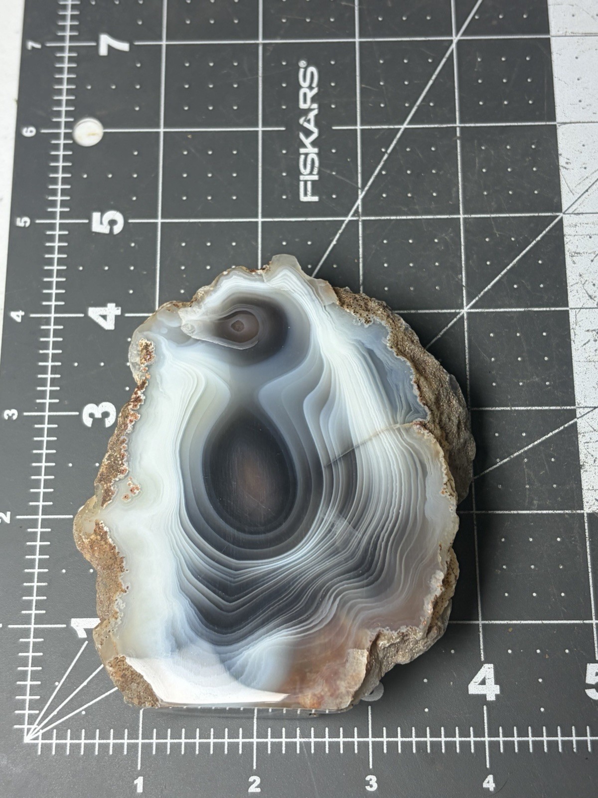 Beautiful Botswana Agate Free Form “penguin” Banding