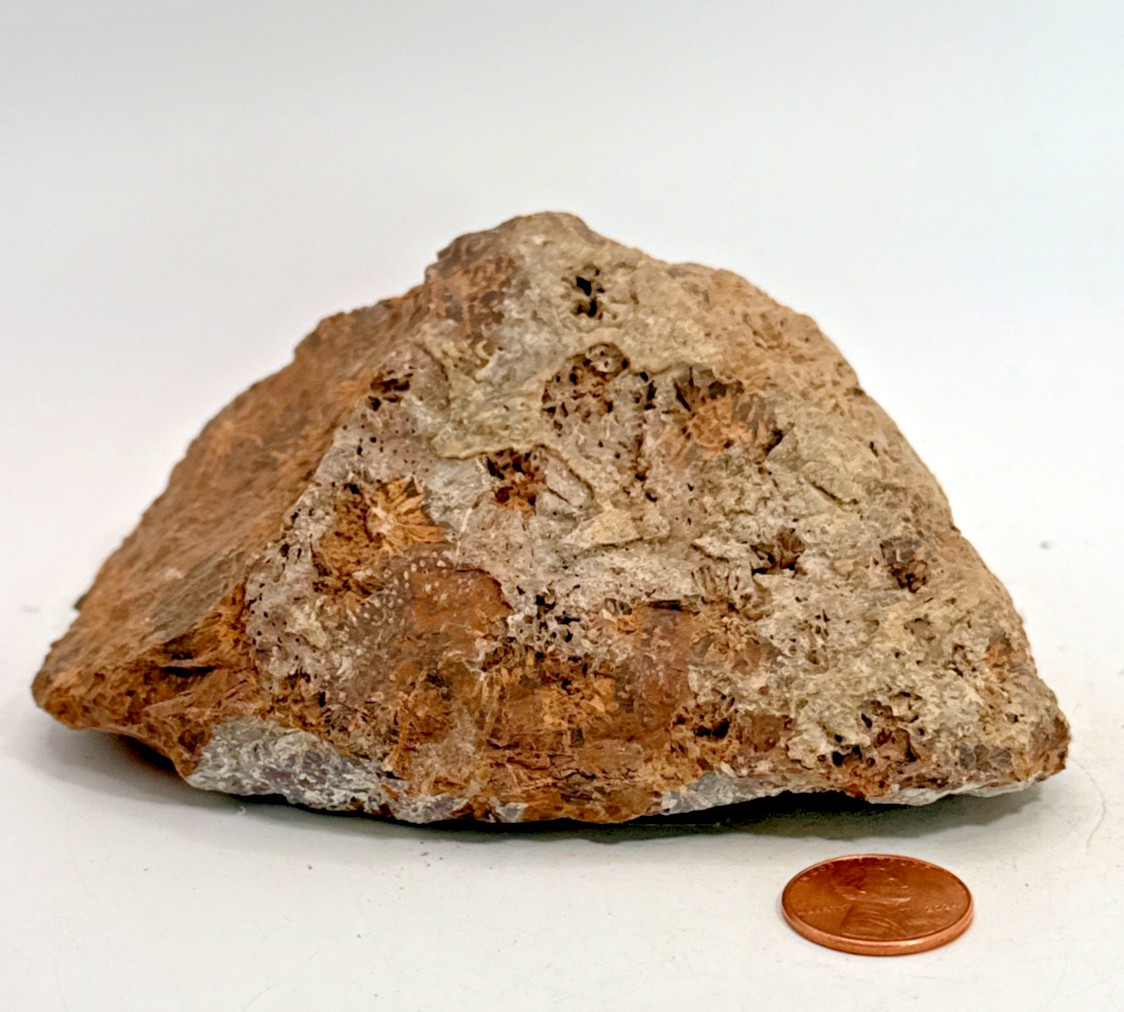 Beautiful Spider Jasper Chrysanthemum Specimen 529 Grams