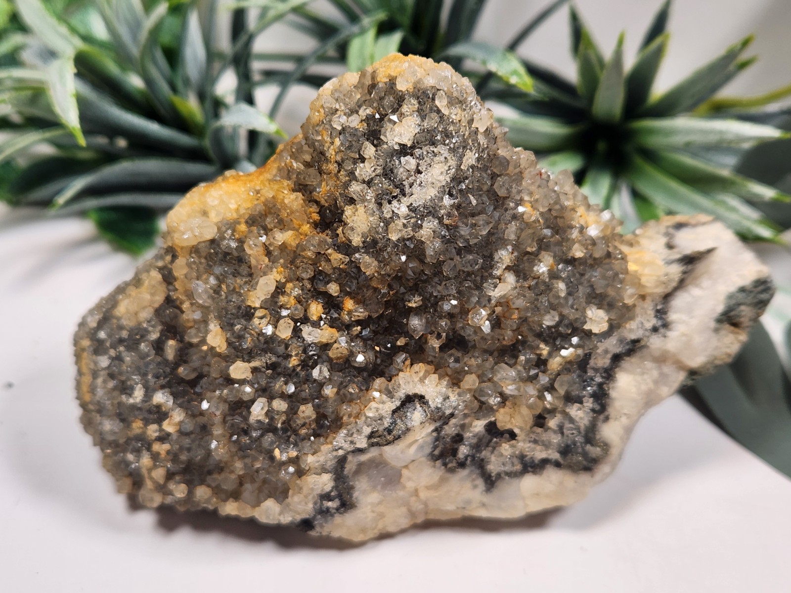 Druzy Quartz From Mexico Crystal Mineral Specimen 274g 3.75in Ep1