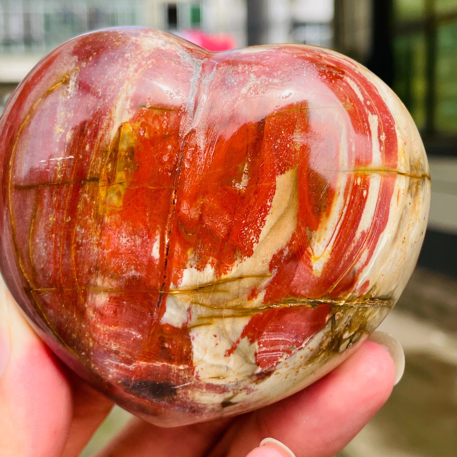 364g Natural Petrified Wood Jade Quartz Crystal Fossil Heart Shape Specimen