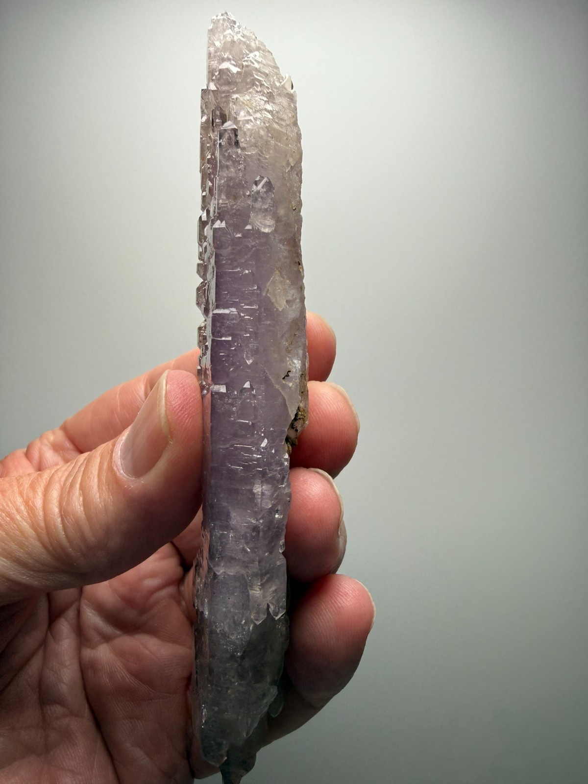 AMAZING Jacare Amethyst- Buridan’s Mule Claim, New Mexico- RARE PIECE!