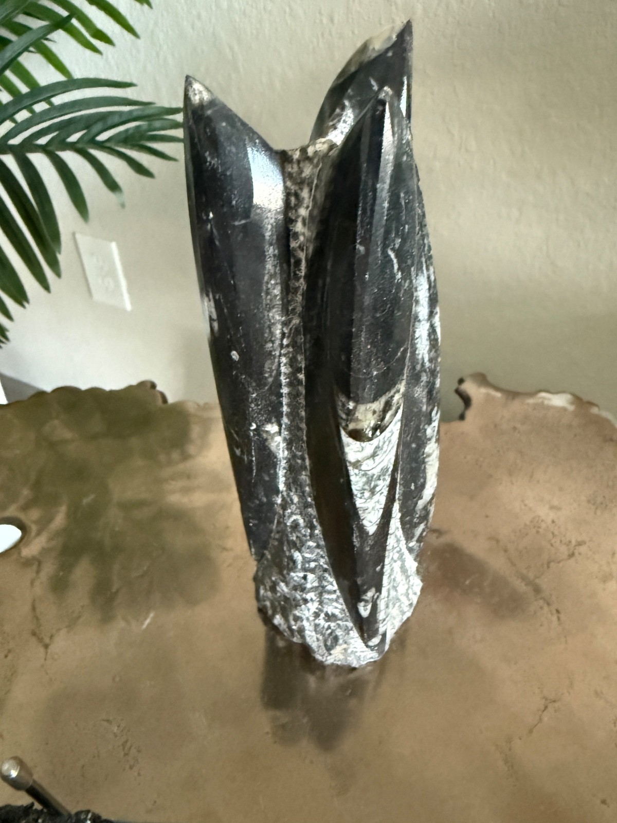 Polished Orthoceras Fossil Tower – Ancient Wisdom & Earth Record Keeper
