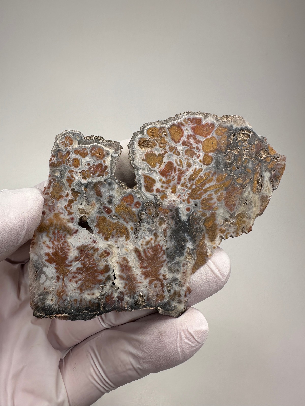 RARE Wingate Pass Plume Agate End-Cut Slab (a.k.a. Death Valley Plume)