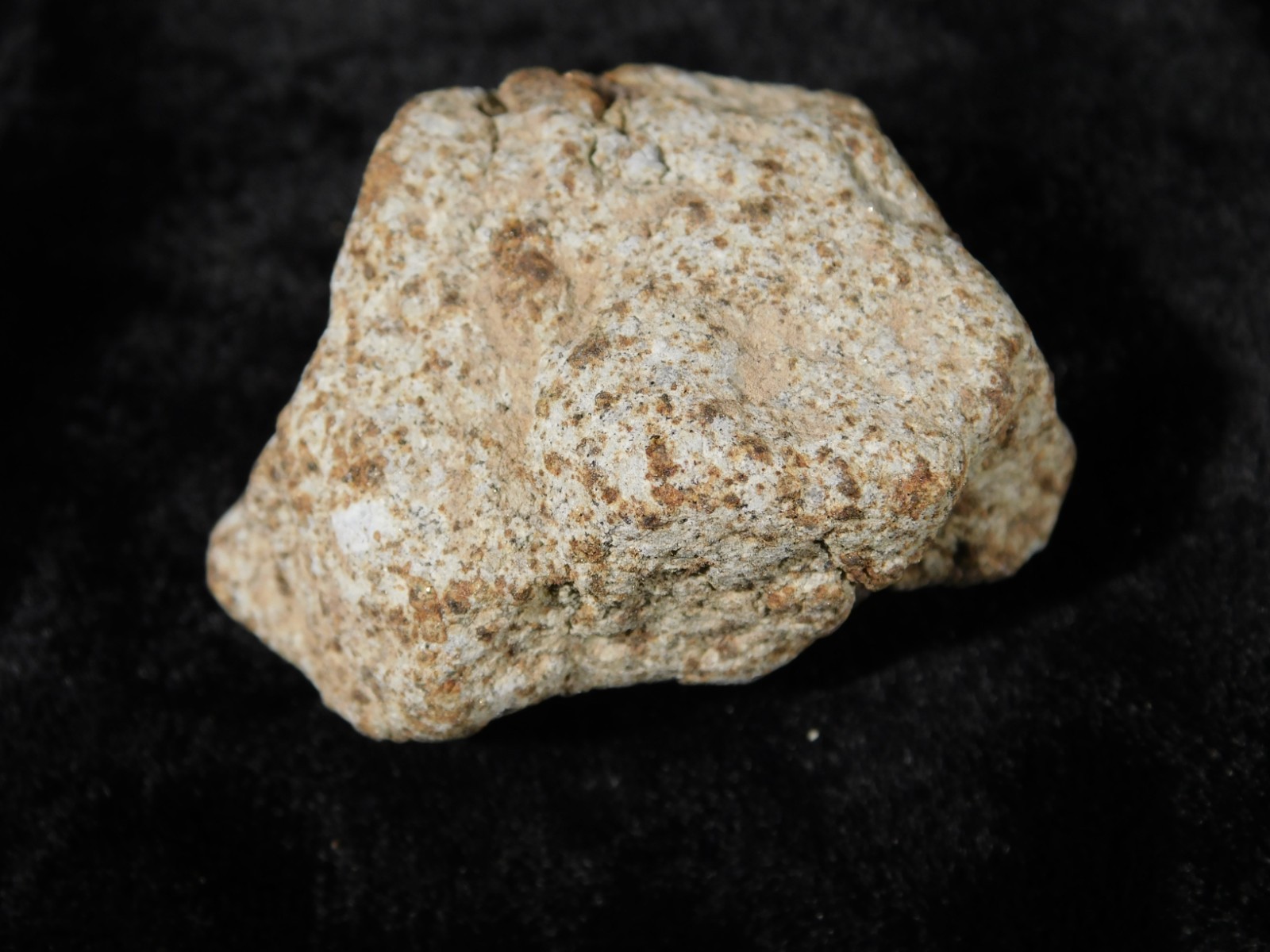Classified NWA 8245 METEORITE Spots of Dark Fusion Crust! Erfoud, Morocco 52.8gr