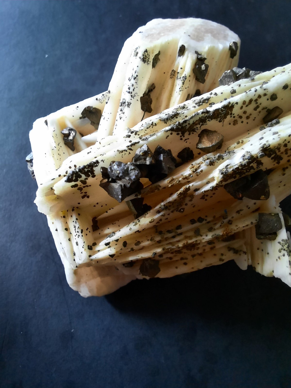 Pyrite Crystals on Barite, Morocco 2 1/2 x 1 5/8th x 1 inch