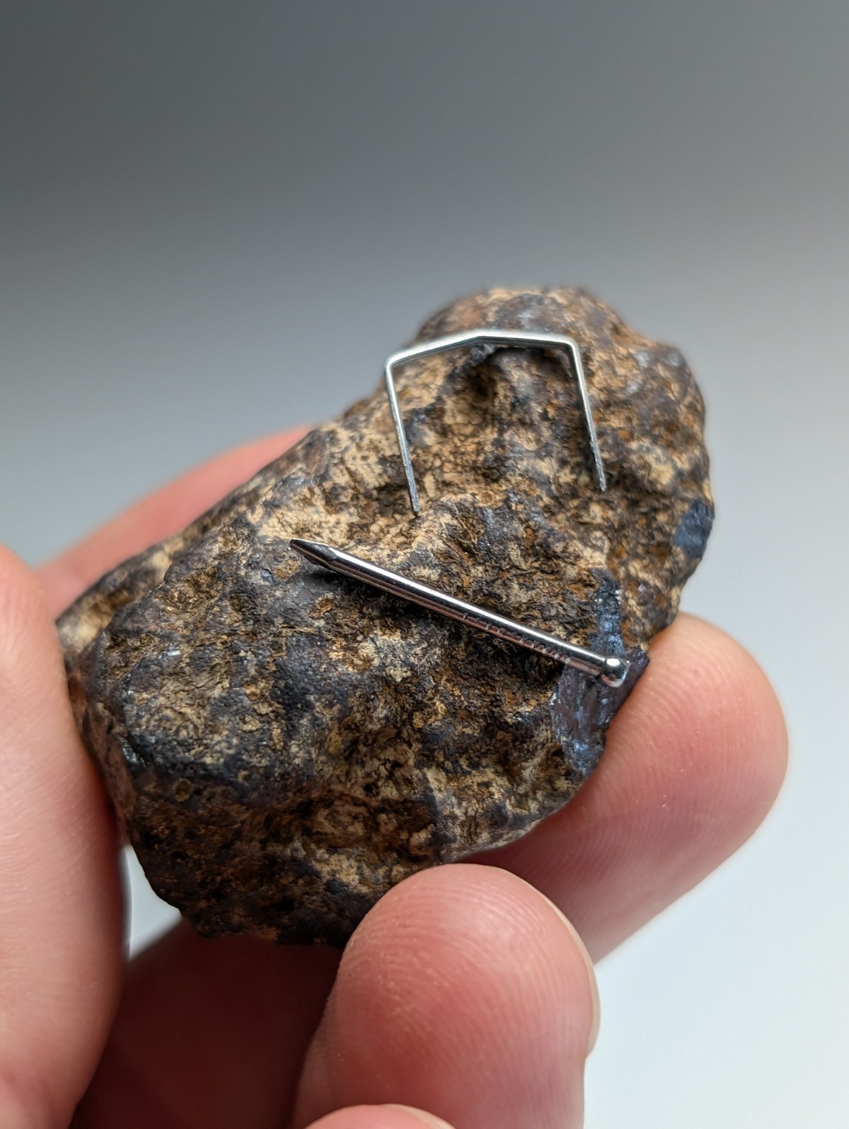 Magnetite (lodestone), Magnet Cove, Hot Spring County, Arkansas, Natural Magnet!