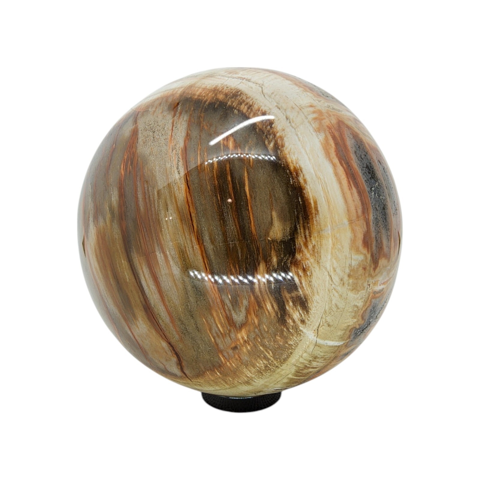 Petrified Wood, 3.75″, sphere, display specimen, #R-6529