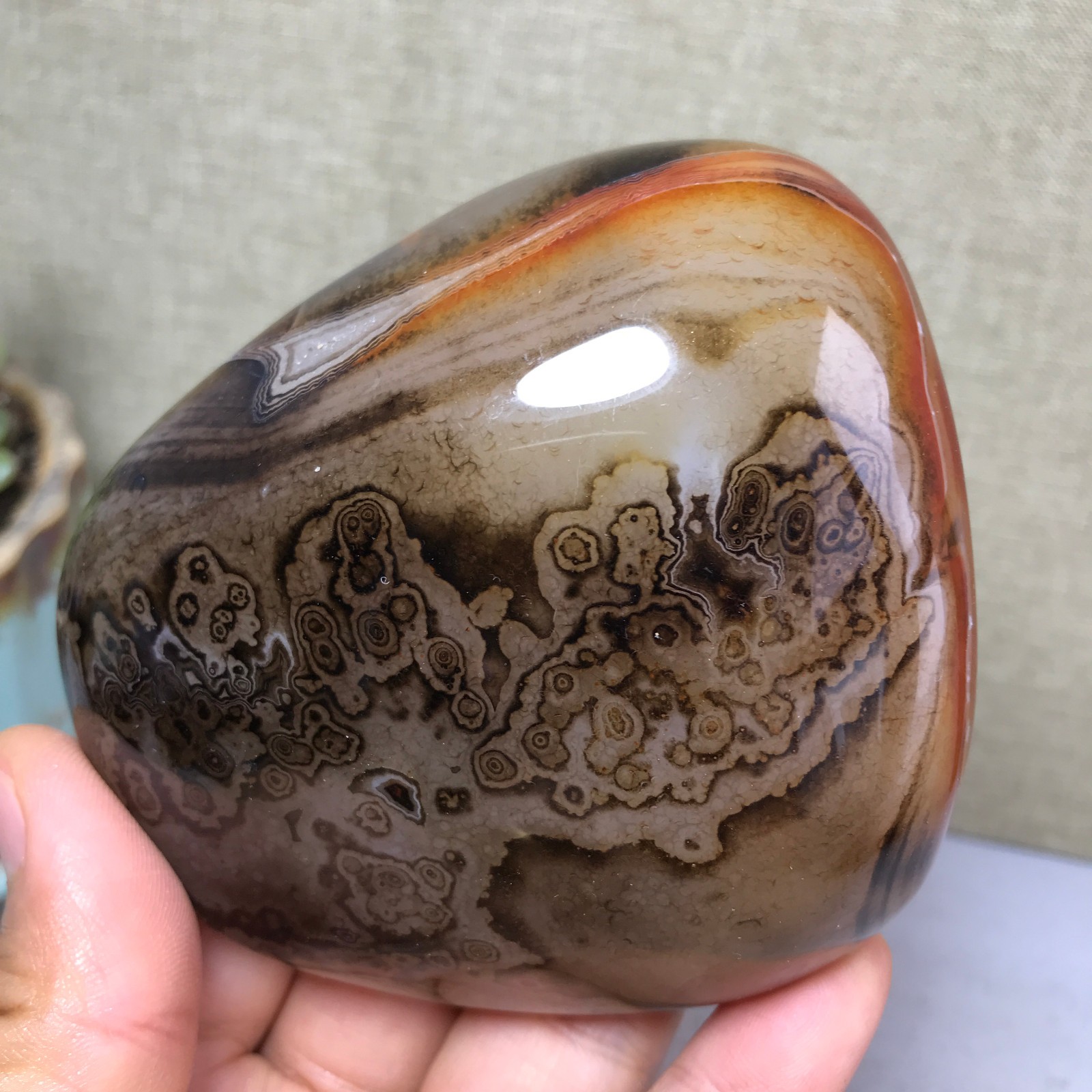 85mm Crazy Lace SILK Banded Agate Polished Crystal Specimen Tumbled 318g A5254